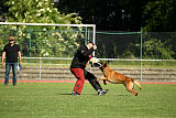 Jump vom Zabelstein