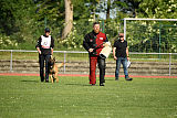 Jump vom Zabelstein