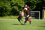Argo von Asega