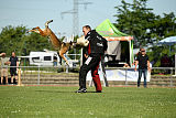 Bazu unter schwarzer Flagge