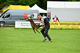 Austrian High Spirit Barracuda