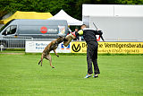 Austrian High Spirit Barracuda