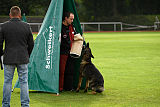 Nate von Spitzbubezwinger