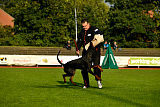 Buddy vom Hexenzauber