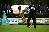 Kazak med Jablani
