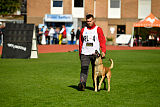 Quo Vadis Canis Bebeto