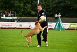 Quo Vadis Canis Bebeto