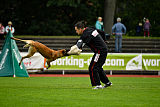 Quo Vadis Canis Bebeto