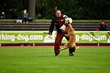 Quo Vadis Canis Bebeto