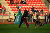 Caarra aus dem Schessburg