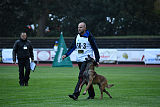Aramis Red Devils Dog