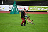 Aramis Red Devils Dog