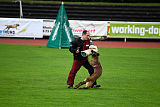 Aramis Red Devils Dog