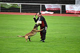 Aramis Red Devils Dog