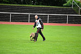 Aramis Red Devils Dog