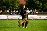 Erja-Ella Marshall Dogs
