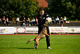 Erja-Ella Marshall Dogs