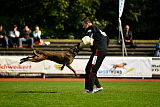 Erja-Ella Marshall Dogs