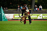 Erja-Ella Marshall Dogs
