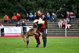 Erja-Ella Marshall Dogs