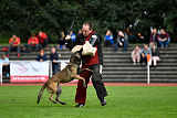 Erja-Ella Marshall Dogs