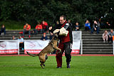 Erja-Ella Marshall Dogs