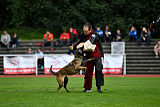 Erja-Ella Marshall Dogs