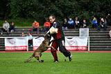 Erja-Ella Marshall Dogs