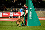 Erja-Ella Marshall Dogs