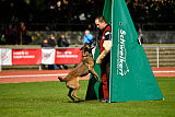 Erja-Ella Marshall Dogs