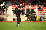 Lenox vom Drumlin Wolf