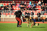Lenox vom Drumlin Wolf
