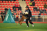 Waild Marinchuk K-9