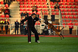 Waild Marinchuk K-9