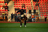 Waild Marinchuk K-9