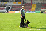 Duke vom Spektefeld