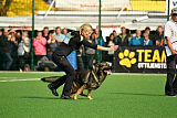 Duke vom Spektefeld