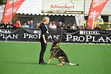 Duke vom Spektefeld
