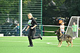 Duke vom Spektefeld