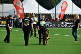 Duke vom Spektefeld