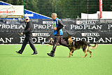 Quanah vom Pfaffenbachtal