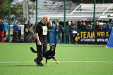 Asti vom Hunde-Hager