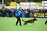 Sid vom Team bösen Bruderblick