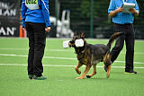 Sid vom Team bösen Bruderblick