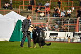 Pancho vom Marksbachtal