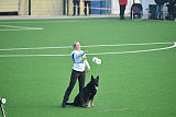 Pancho vom Marksbachtal