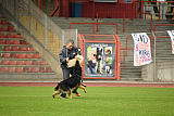 Bosco vom Wolfsbankring