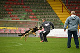 Bosco vom Wolfsbankring
