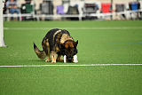 Conor von Petersborn