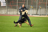 Bruno vom Wolfsstolz